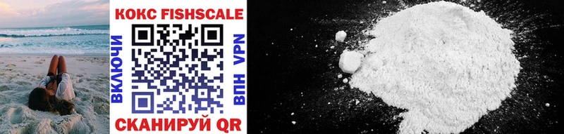 Cocaine FishScale  ссылка на мегу как зайти  мориарти наркотические препараты  Раменское 