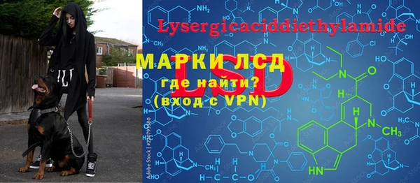 амф Богородицк