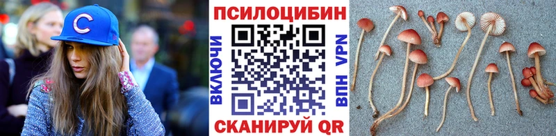 это какой сайт  Раменское  Галлюциногенные грибы Cubensis 